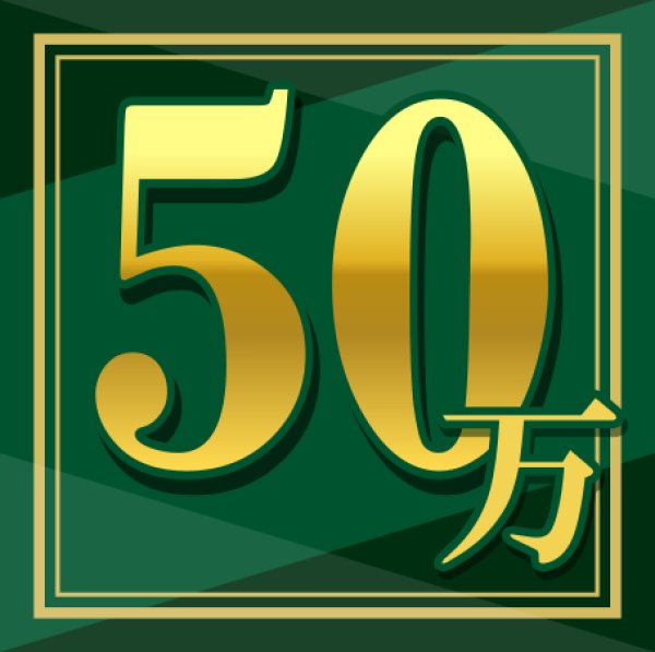 画像1: 500,000円決済用 (1)