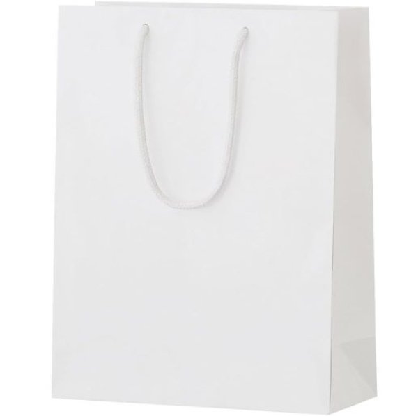 画像1: 丸玉工業 紙袋 シャイニーバッグ 手提げ袋 Mサイズ 白 10枚 [ B01AHR07DU / 1120240305009 / 7528 ] (1)