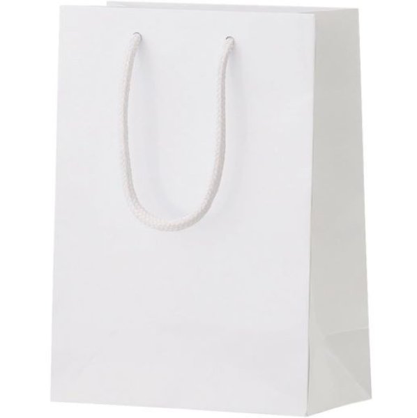 画像1: 丸玉工業 紙袋 シャイニーバッグ 手提げ袋 XSサイズ 白 10枚 [ B01AHR1DAG / 1120240305012 / 7532 ] (1)