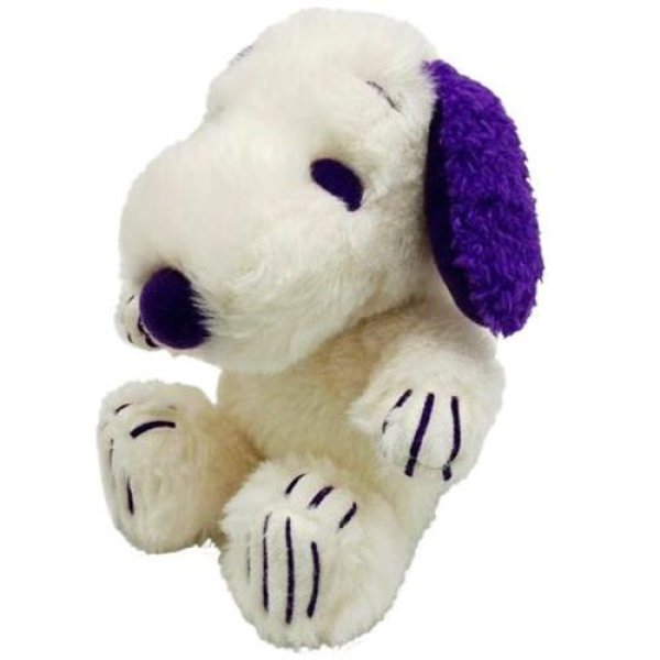 画像1: ナカジマコーポレーション レインボーカラーFUWAKUTA スヌーピー パープル 210029-25 [ B0DNPY7PJS / 4548643210029 / 210029-25 ] (1)