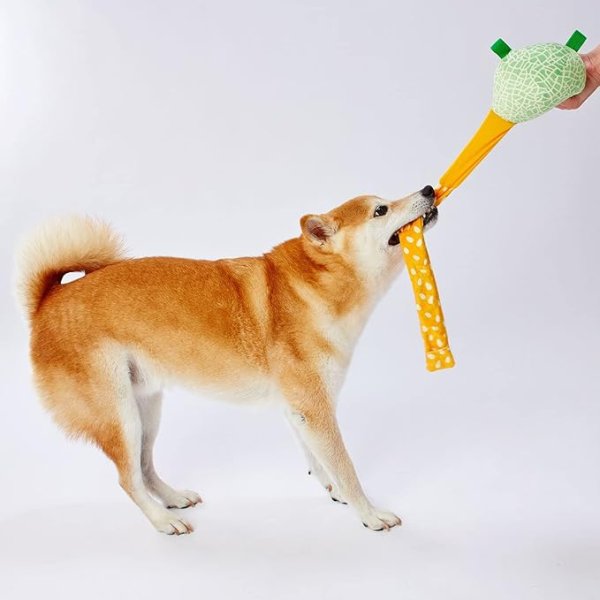 画像1: ☆ペティオ (Petio) 犬用おもちゃ びよ~ん! フルーツ メロン [ B09SQ1G77P / 4903588268526 / ] (1)