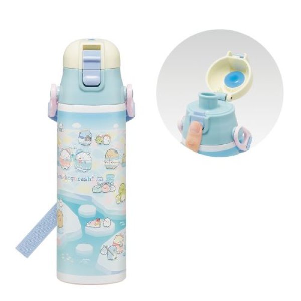 画像1: スケーター(Skater) 子供用 ステンレス 水筒 直飲み 580ml SDC6N-A [ B0DSMQWXR8 / 4973307691751 / SDC6N ] (1)