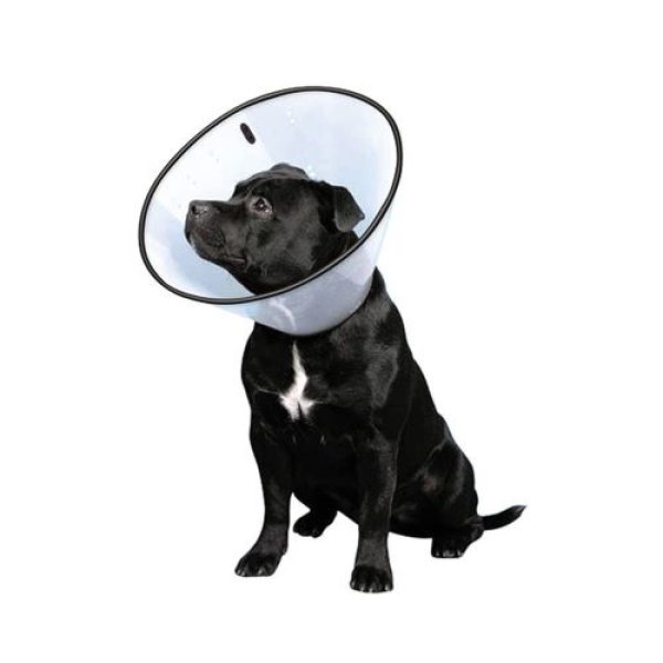 画像1: ファンタジーワールド 首輪 VETカラー その他 クリア 超大型犬用 XL サイズ [ B0014I2A1O / 4995723400120 / VC-5 ] (1)
